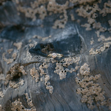 Load image into Gallery viewer, Champagne Flo 0.50ct