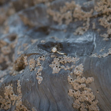 Load image into Gallery viewer, Champagne Flo 0.50ct
